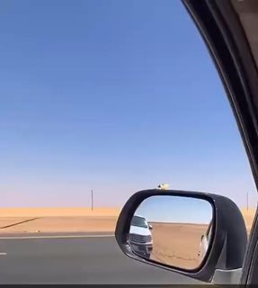 Военные столкновения в Йемене