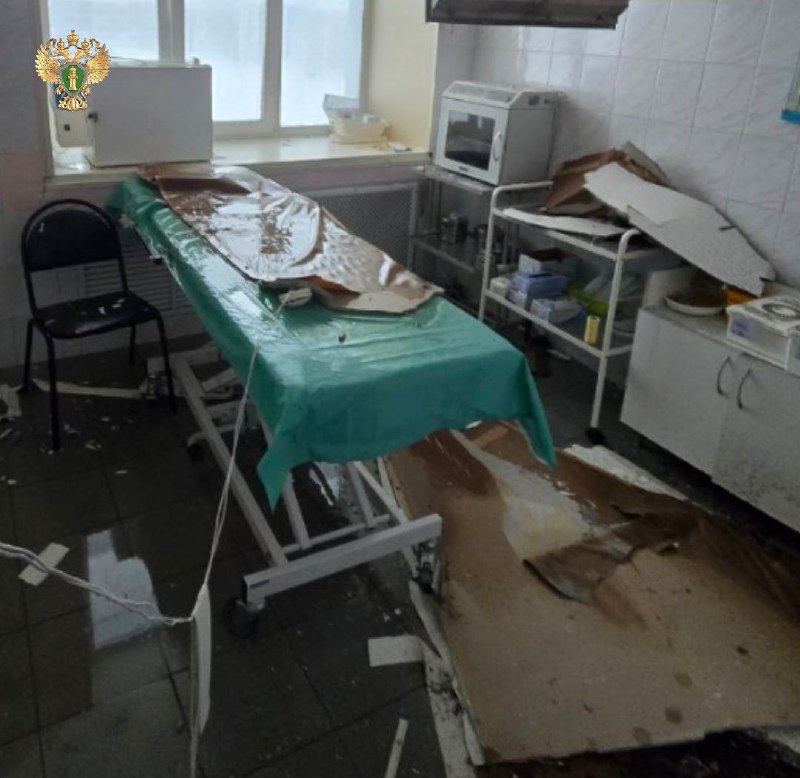 Иллюстрация 1