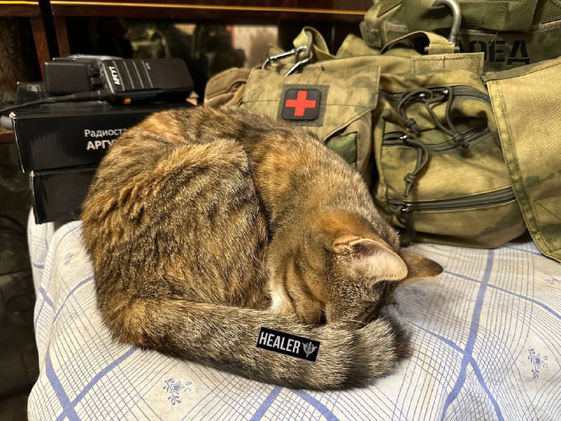 Сбор помощи для военных медиков