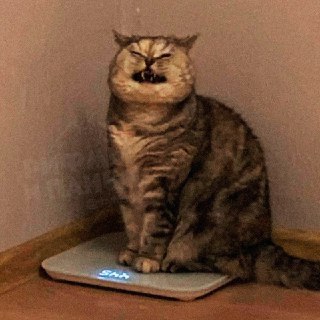 Как похудеть во сне: 6 простых правил