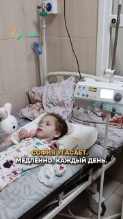 Иллюстрация 2