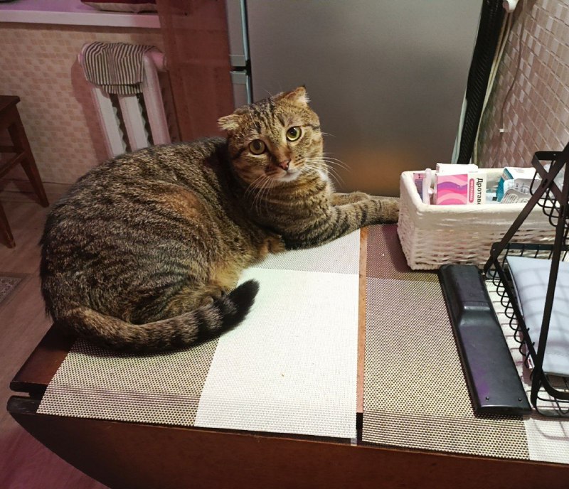 Фронтовой боец поделился шутками в соцсетях