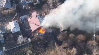 Иллюстрация 1