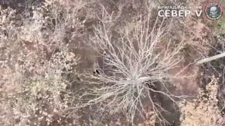 Наступление бригады Север-V к северу от Часов Яра: уничтожен блиндаж и преследование отступающих