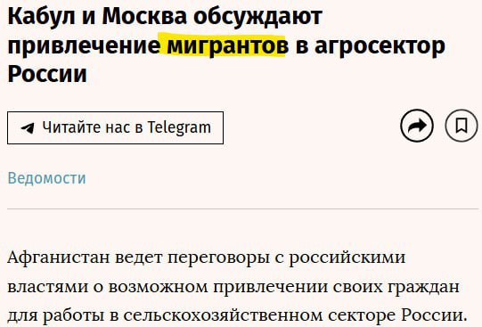 Афганских специалистов могут привлечь к работе в России