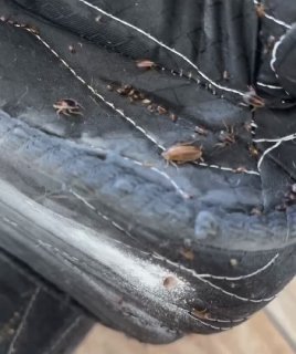 Опасности еды в кровати