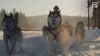 Национальный туристический портал предлагает идеи для зимнего отдыха в России