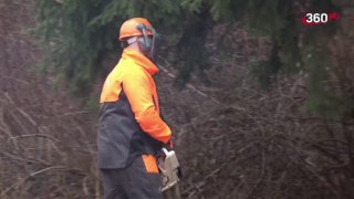 Иллюстрация 1