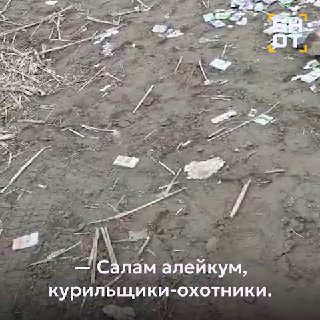 В Дагестане на берегу нашли контейнер с грузинскими сигаретами