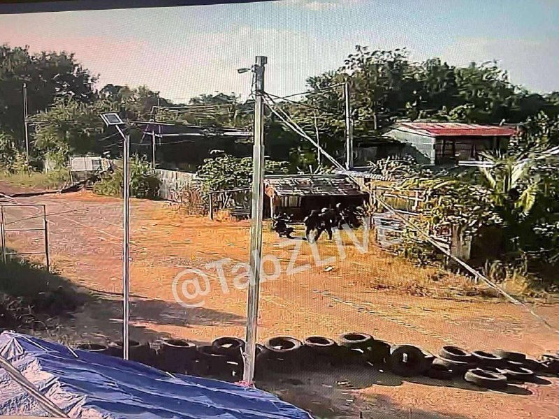 Иллюстрация 1