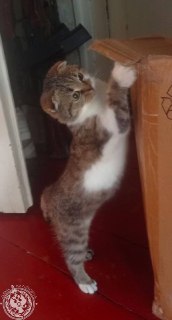 Иллюстрация 2