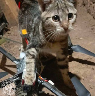 Иллюстрация 3