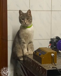 Иллюстрация 8