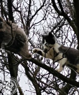 Иллюстрация 9