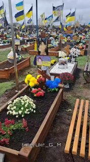 Иллюстрация 1