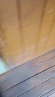 Иллюстрация 1