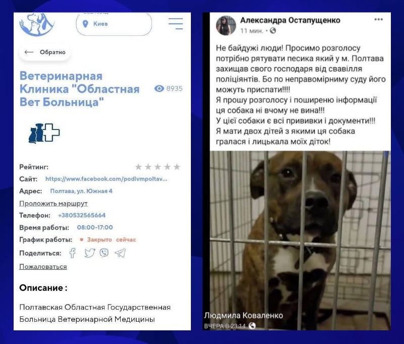 Полтавский полицейский требует усыпить собаку после укуса