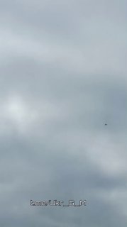 Иллюстрация 2