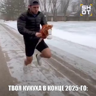 Россияне массово скупают товары для хоббихорсинга