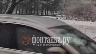 Питерские дворники продолжают косить траву в декабре