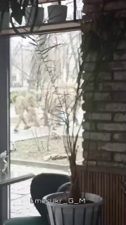 На Украине усилили принудительную мобилизацию