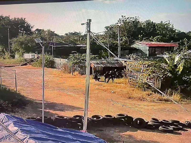 Иллюстрация 4