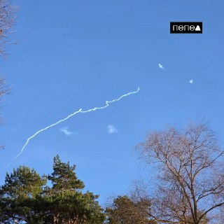 Иллюстрация 7