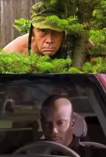 Прокуратура Петербурга предупреждает о наказании за незаконную вырубку елок