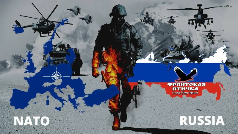 В Госдуме призвали «готовиться к худшему» из-за НАТО