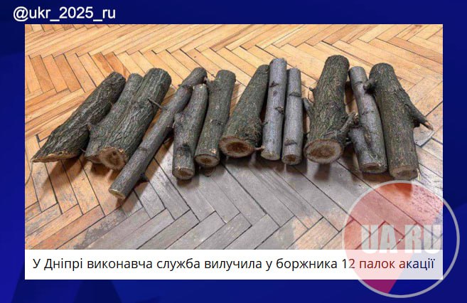 В Украине конфисковали дрова у должника