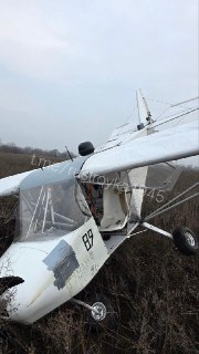 Иллюстрация 2