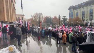 Протесты в Грузии против арабских инвестиций
