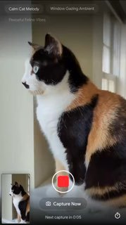 Google представил Lyria Camera: превращает видео в музыку