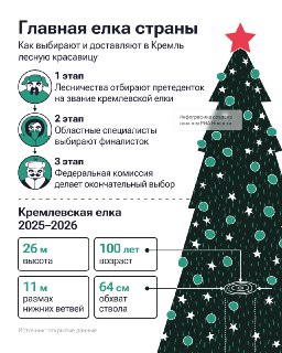 Главную новогоднюю елку России спилили в Подмосковье