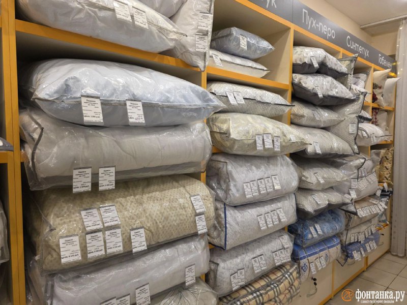 Иллюстрация 1