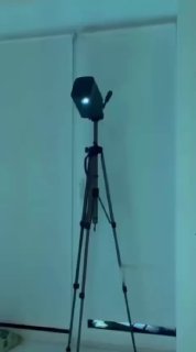 Проектор как игрушка для кошек