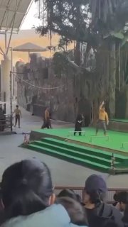 В китайском зоопарке медведь подрался с дрессировщиком, но помирился