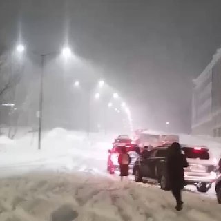 Иллюстрация 2