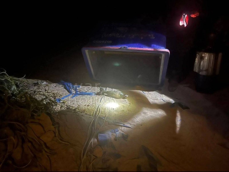 Иллюстрация 2