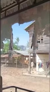 Иллюстрация 2