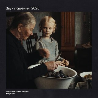 Рецензия на фильм "Звук падения"