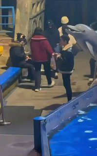 Белуха наказала курильщика в Китае