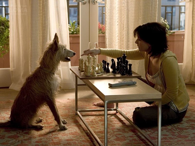 Иллюстрация 1