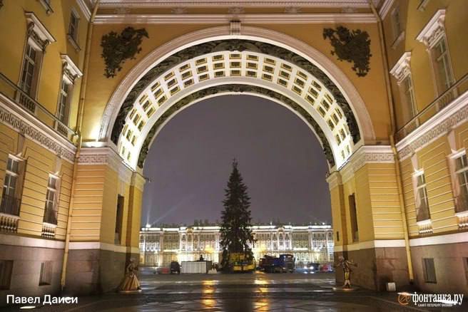 Главная ёлка Петербурга приехала на Дворцовую площадь