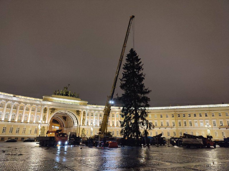 В Петербурге установили главную ёлку