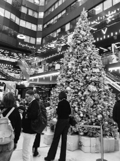 Иллюстрация 1