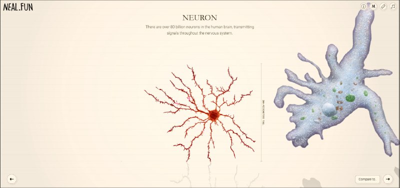 Иллюстрация 1