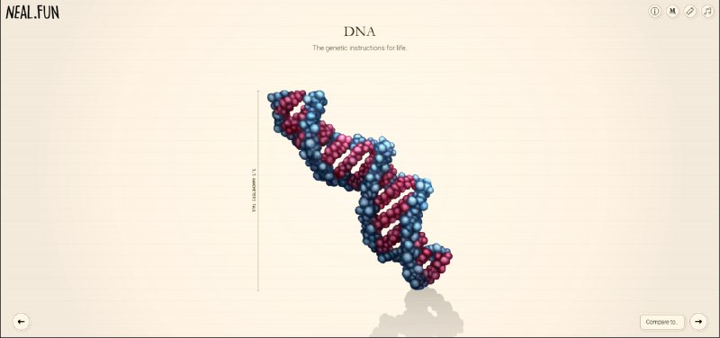 Иллюстрация 2