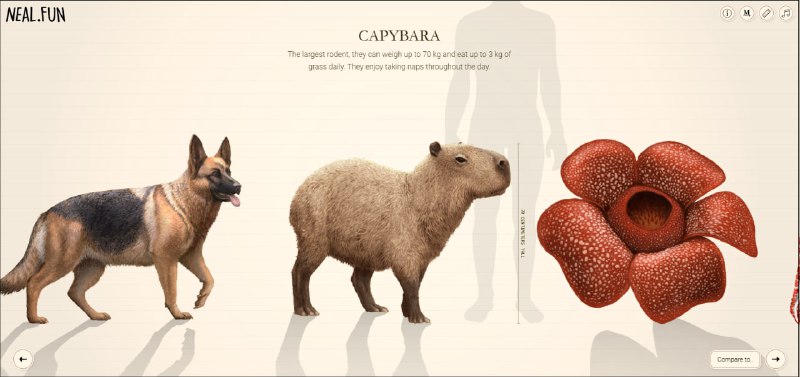 Иллюстрация 4