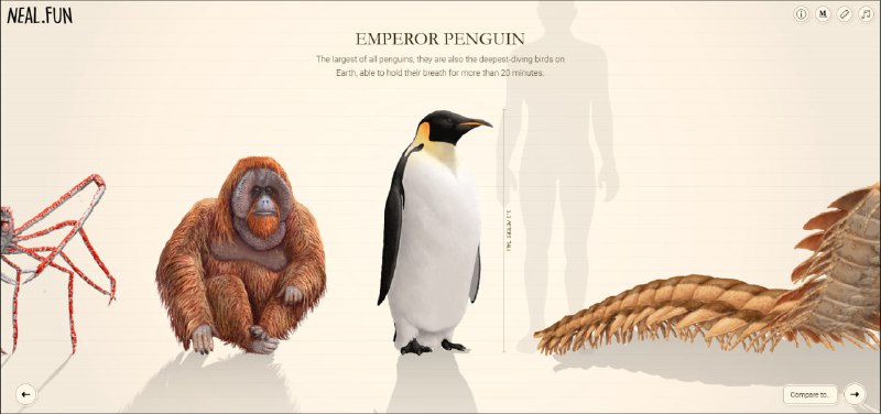 Иллюстрация 5